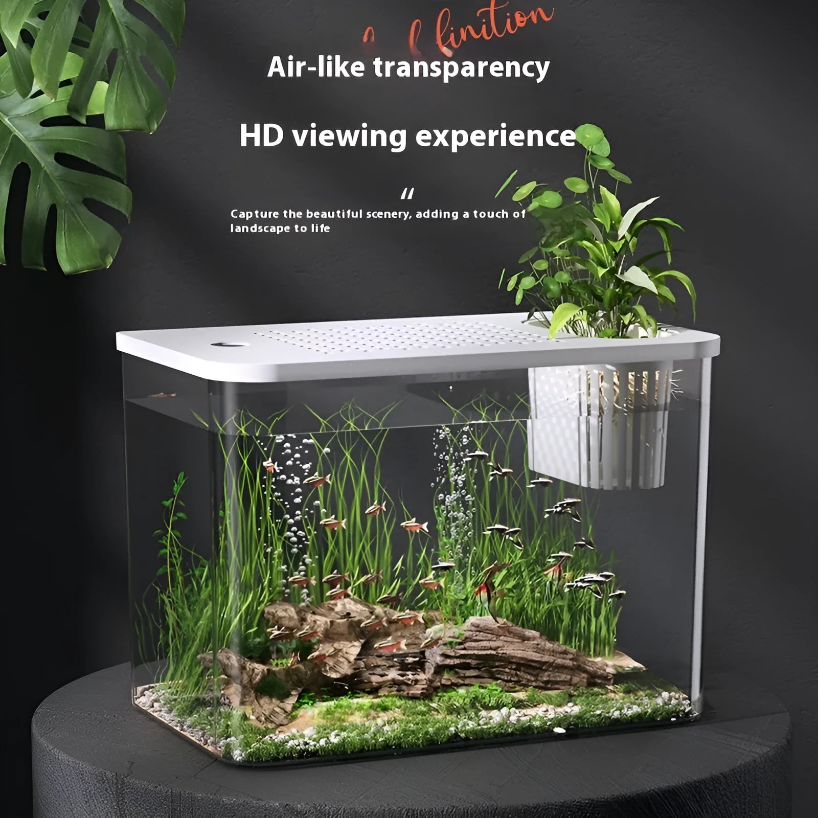 Black plastic betta fish tank with cover measuring 32cm long for living room decor