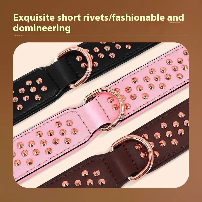 Leather dog collar with anti-bite rivets in black, chocolate, and pink colour options