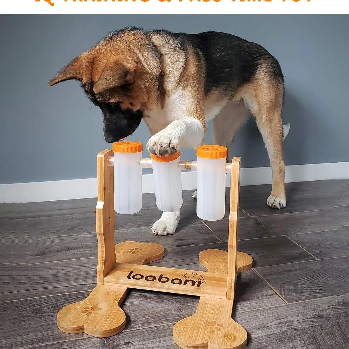 Wooden dog puzzle toy interactive feeder with natural wood colour
