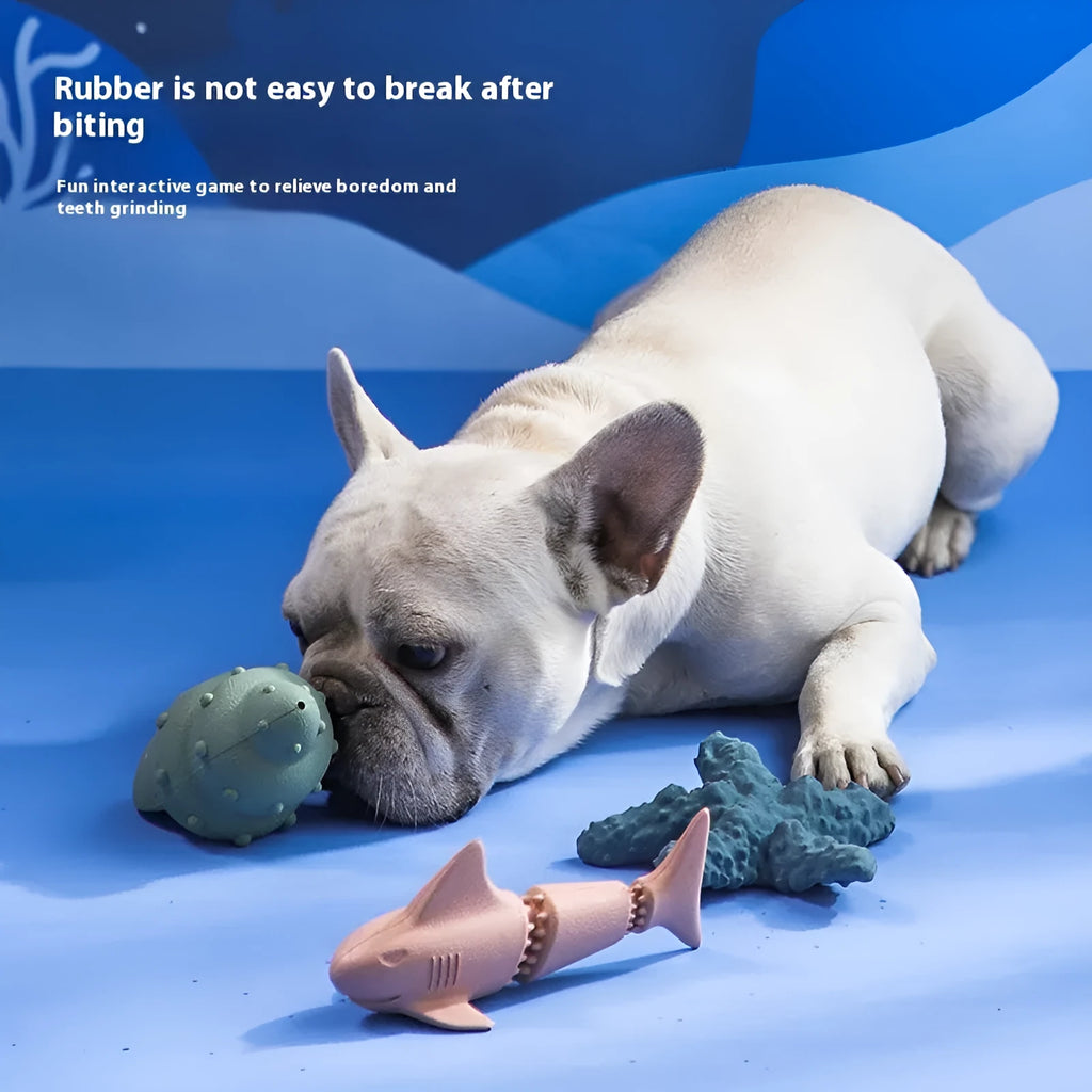 Blue and green rubber dog toys shaped like conch shells and starfish with shark texturing