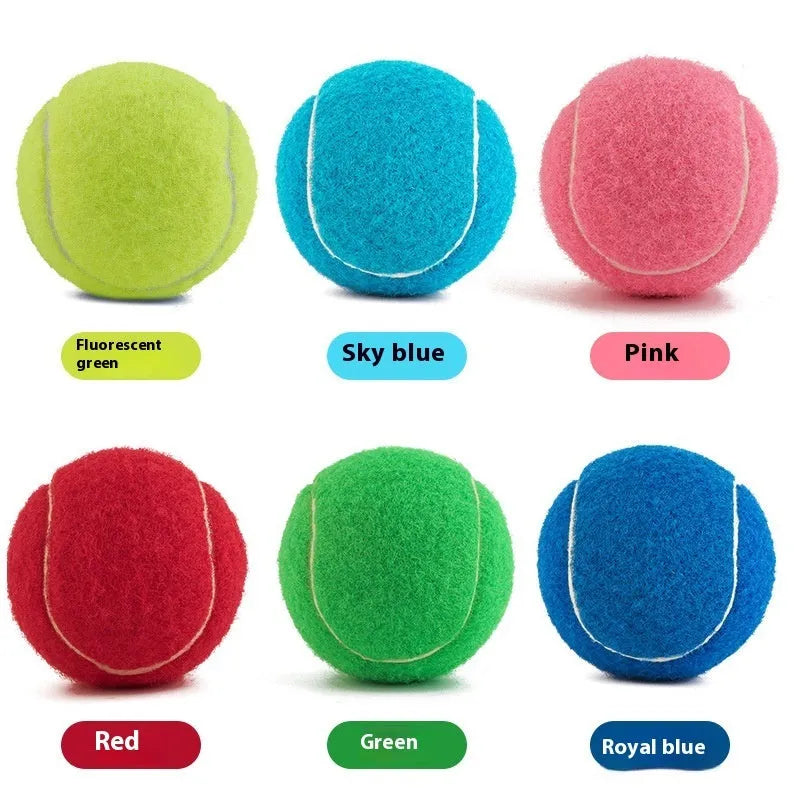 Bite-resistant rubber dog tennis ball toy in assorted colours, 6.3 cm in size.