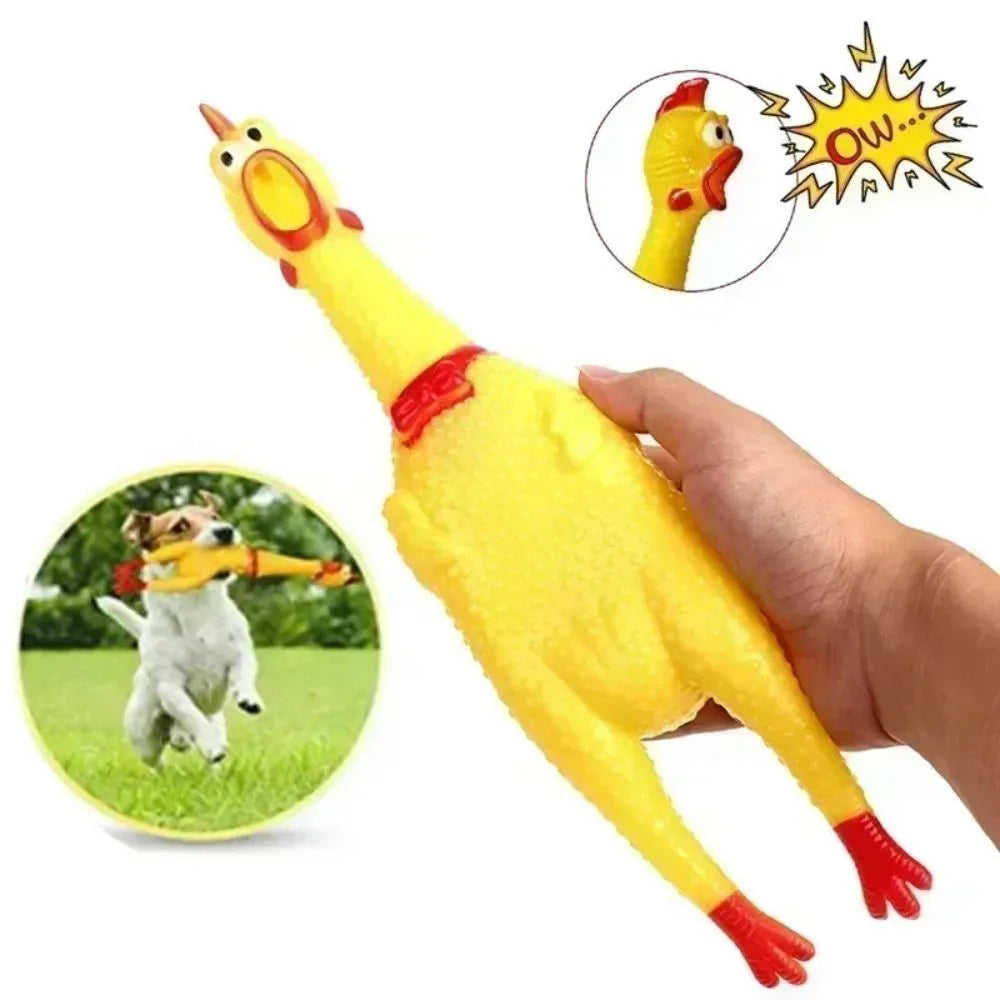 Yellow rubber screaming chicken dog squeak toy shown in small, medium, and large sizes.