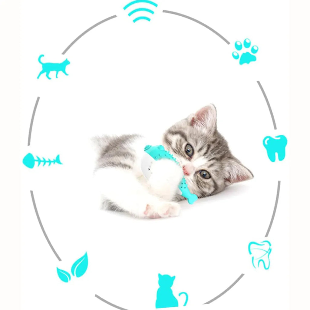 Silicone mint-scented fish shaped cat chew toy in blue green pink or yellow for dental cleaning