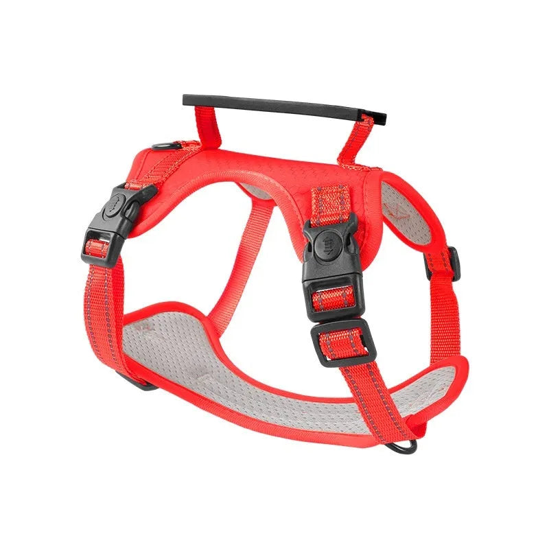 Adjustable polyester dog chest harness and matching lead shown in one of six available colours.
