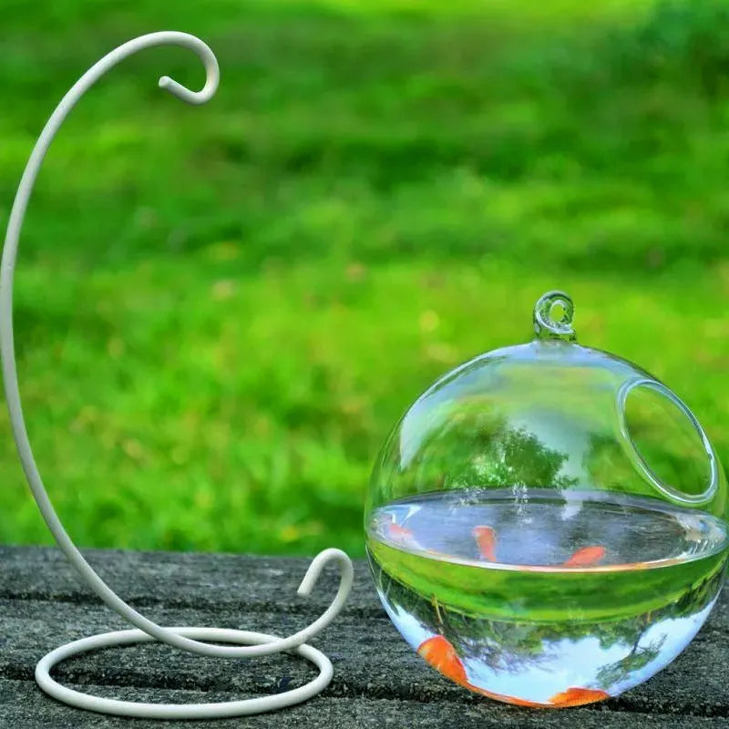 Mini hanging glass vase fish tank made of high borosilicate glass with optional bracket