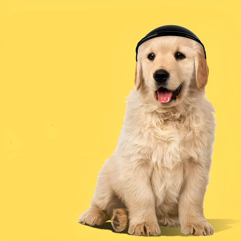 Small plastic pet helmet in pink, black, yellow, or green for dogs and cats