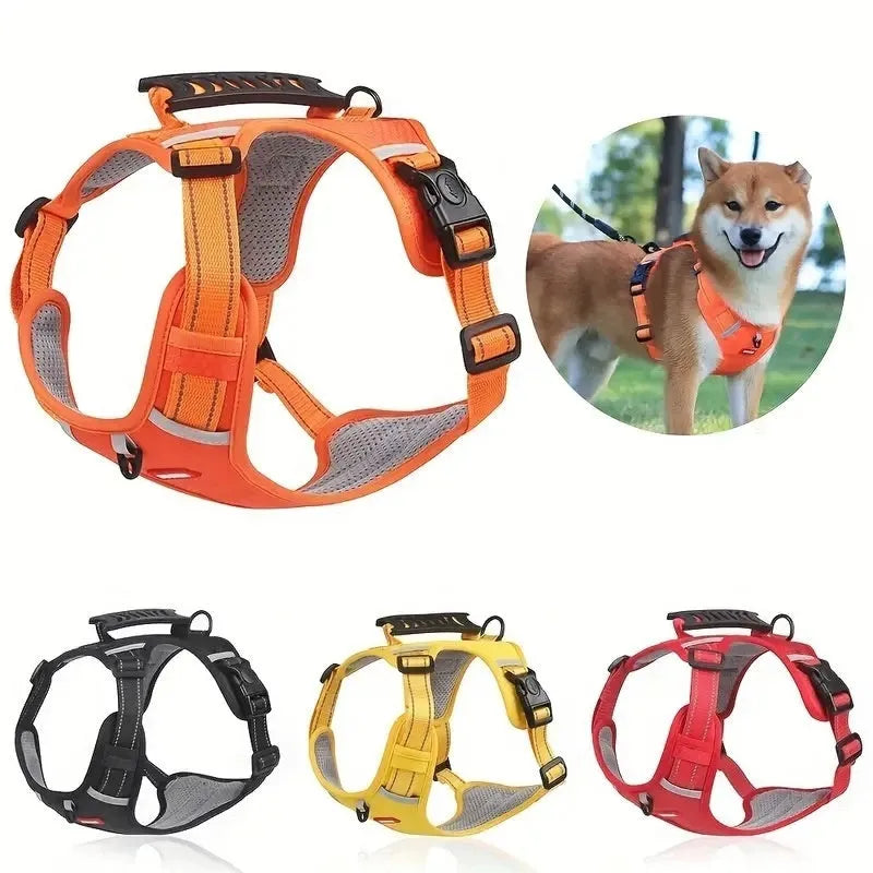 Adjustable polyester dog chest harness and matching lead shown in one of six available colours.