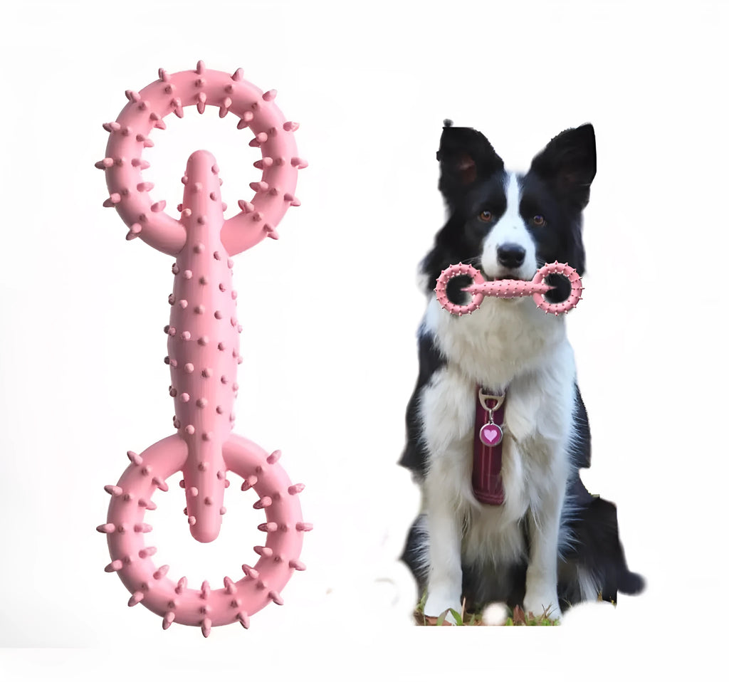 Blue TPR dog chew toy ring measuring 16 cm diameter for puppy teething and chewing