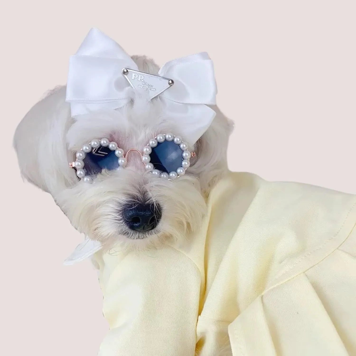 Pearl-rimmed round sunglasses for cats and dogs in five colour options with two size choices