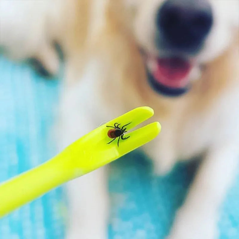 Three plastic pet tick removal clips in blue and green colours for cat and dog parasite control