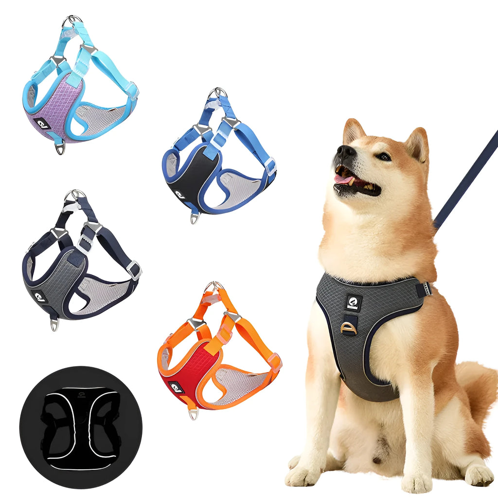Adjustable breathable mesh dog harness with reflective piping in black, red, grey, or light purple