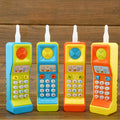 Children's battery-operated sound and light educational toy with cartoon animal design