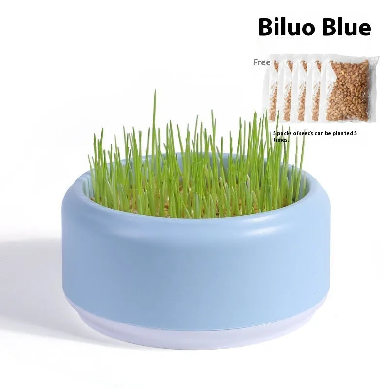 Hydroponic cat grass growing kit with reusable cup and seed packets in blue, green, and yellow colour options