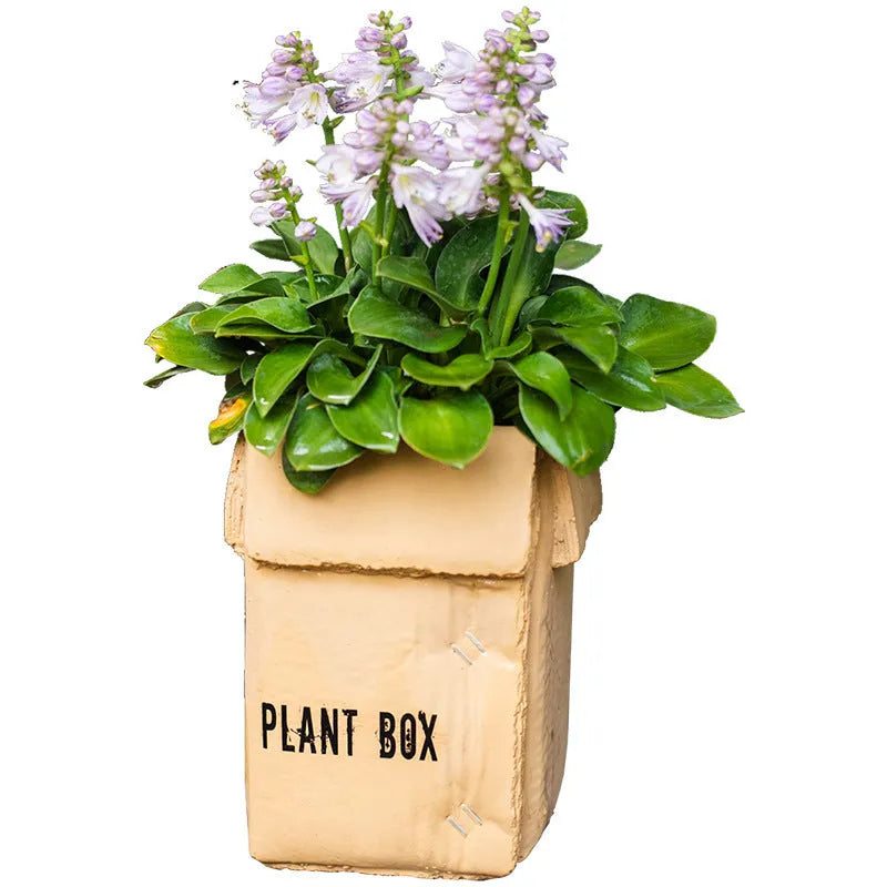 Cement flowerpot with pre-punched drainage hole in Nordic-style cement brown paper box design