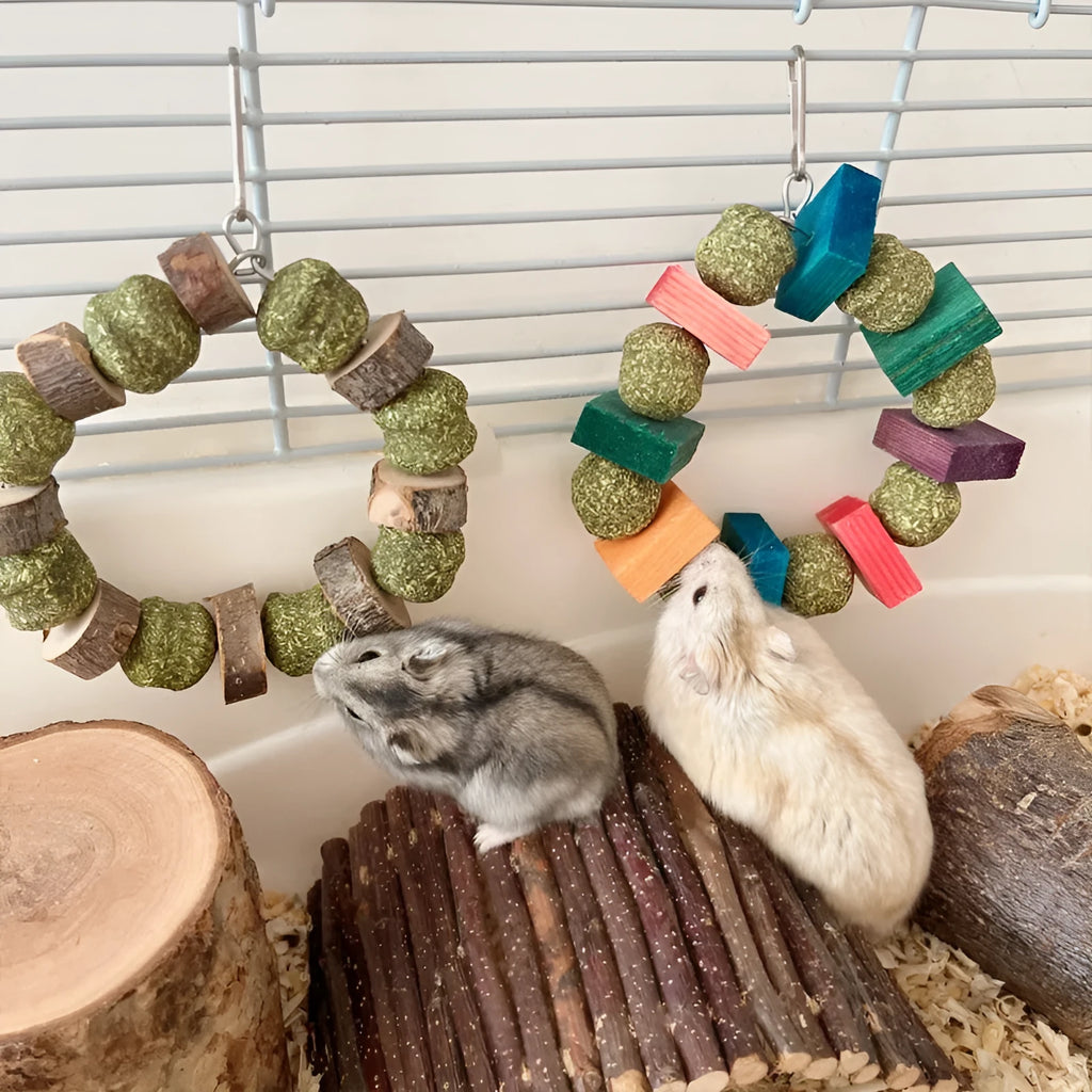 Hamster chew toy with Applewood stick and woven straw ball ring on a white background.
