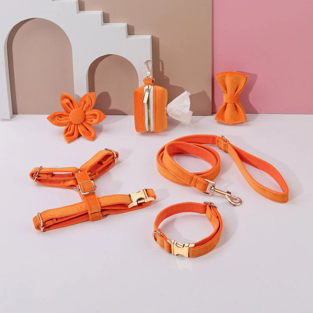 Classic velvet pet collar and traction rope set with chest strap, bow tie, flower, and toilet bag in multiple colour options.