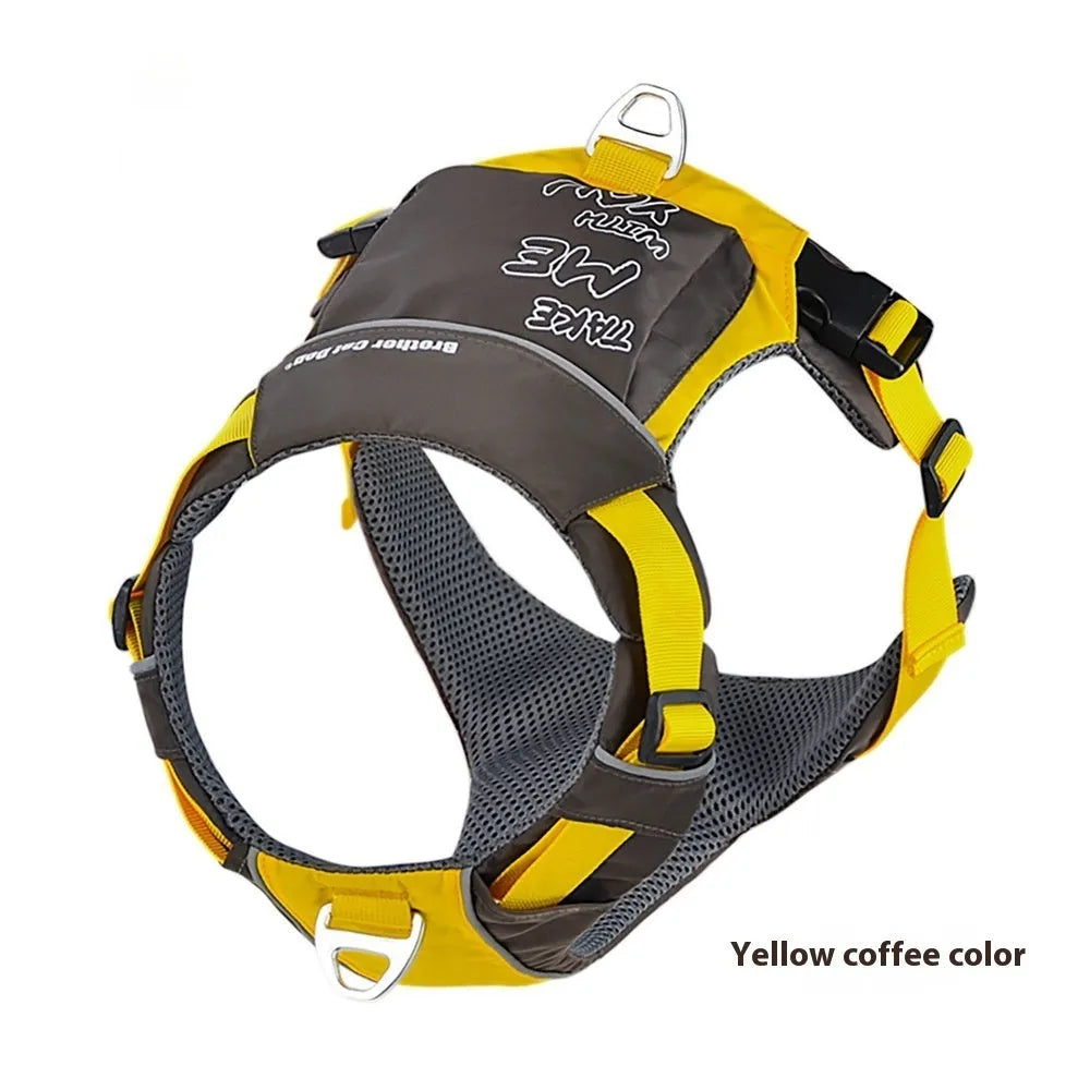 Orange and blue nylon dog vest harness on a dog's chest and back