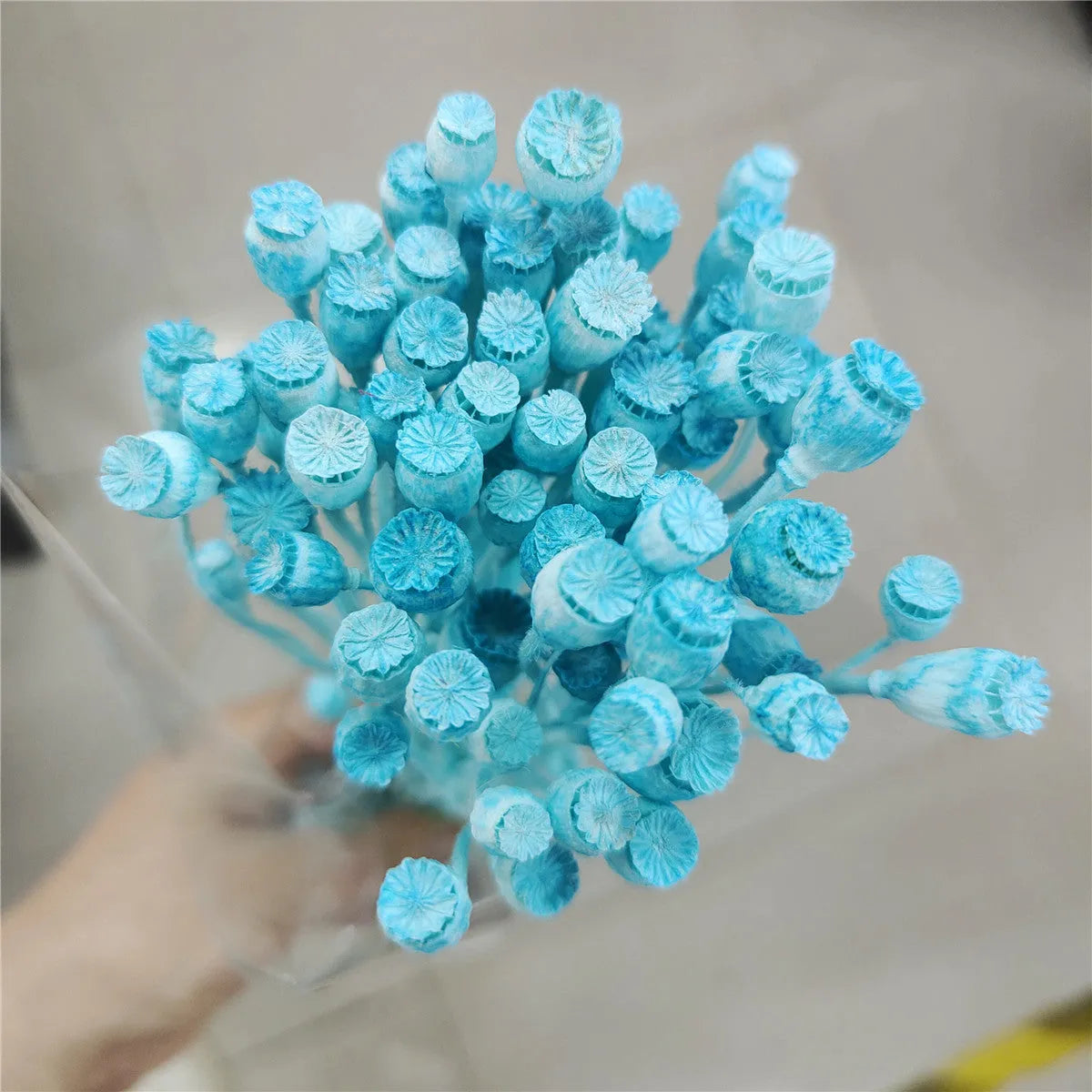 Dried flower Yu Meiren fruit DIY material bundle in multiple colours for corsage and headdress making