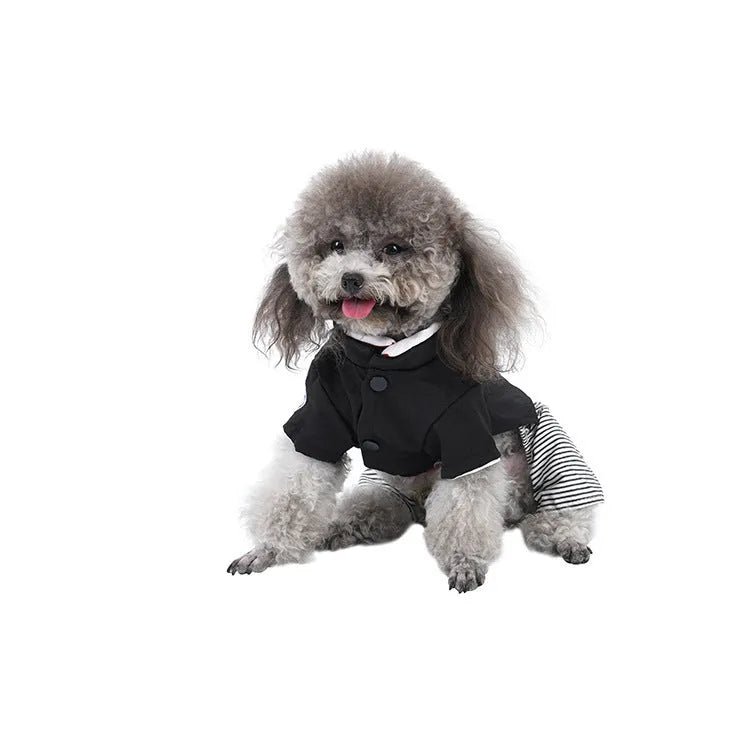 Thin cotton poodle dog clothes in skirt and trouser styles for seasonal wear