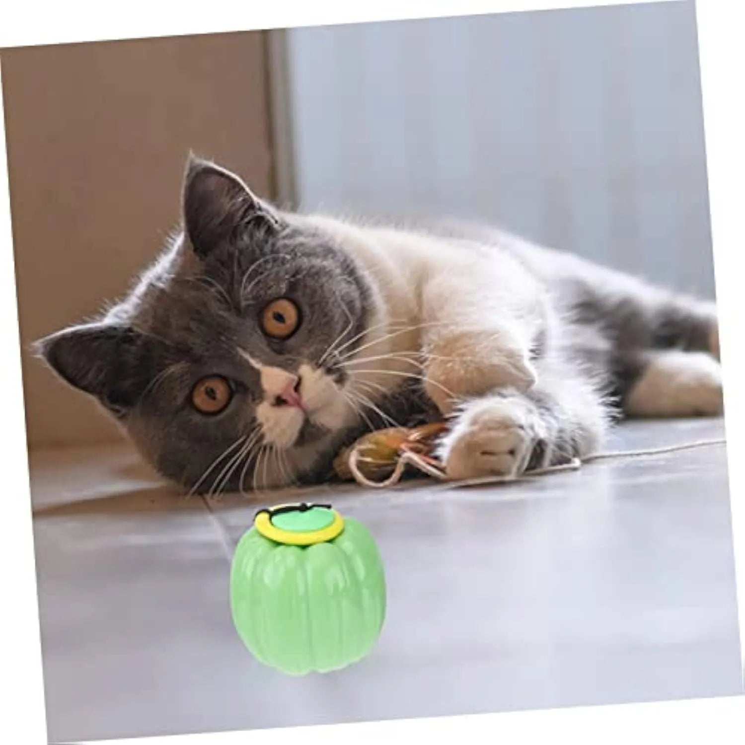 Green, orange, and yellow plastic pumpkin-shaped dog balls with a squeaker.