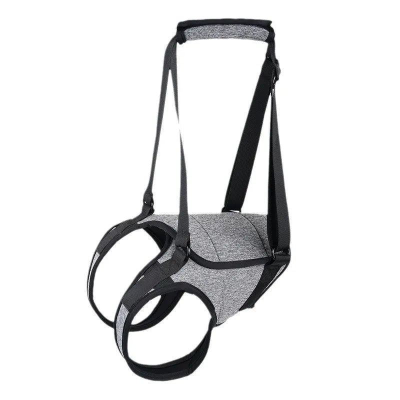 Grey neoprene dog rear leg recovery belt with adjustable straps shown on size chart