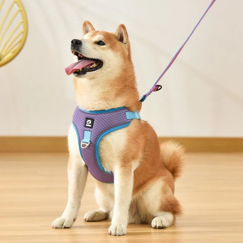 Adjustable breathable mesh dog harness with reflective piping in black, red, grey, or light purple