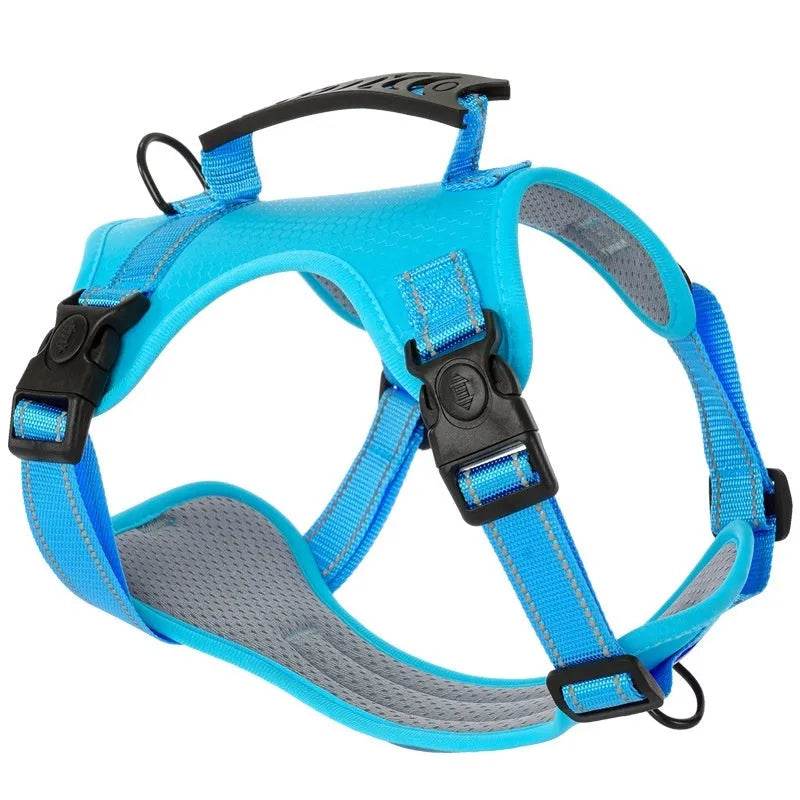 Adjustable polyester dog chest harness and matching lead shown in one of six available colours.