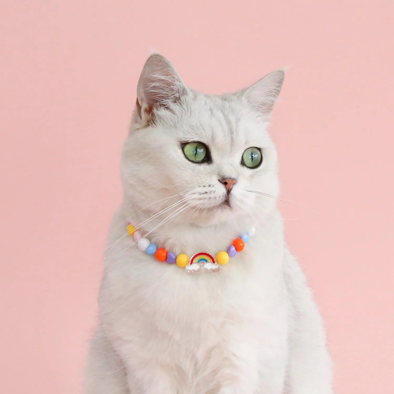 Colourful plastic bead pet necklace for cats with floral and rainbow designs in adjustable XS and S sizing