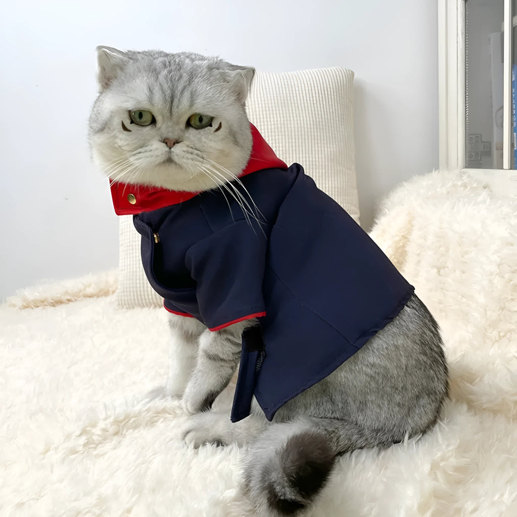 Tiger staff yuren coloured pet hoodie photo prop for cats and dogs on a mannequin