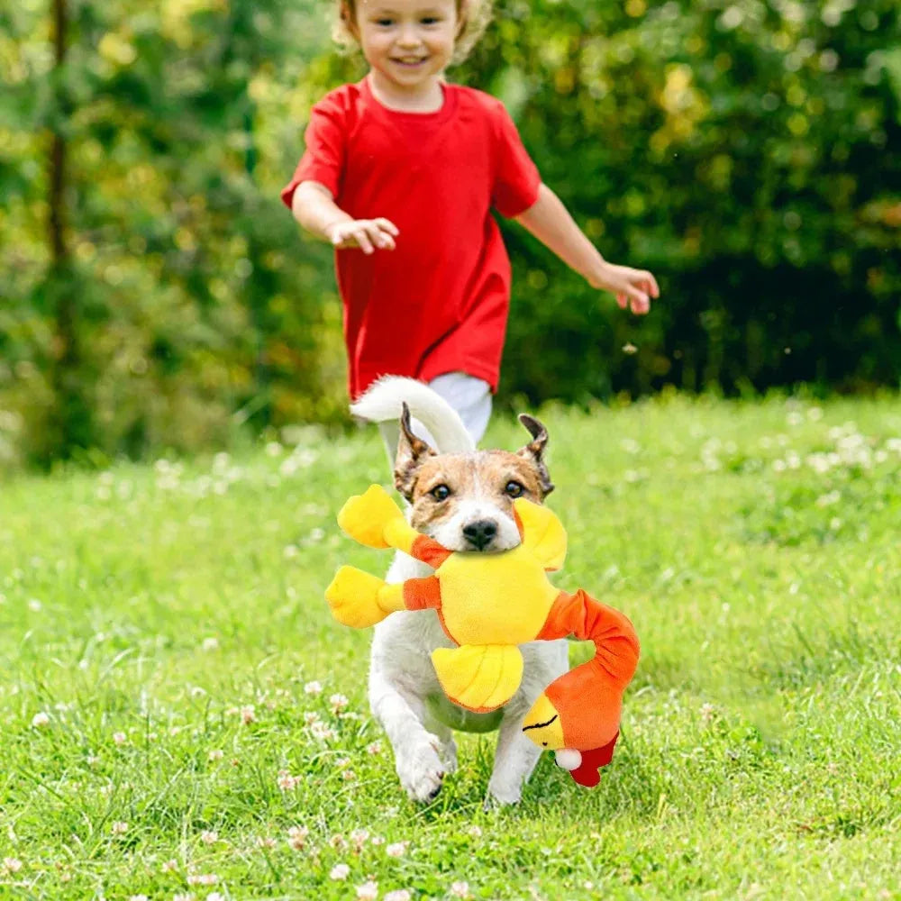 Bite-resistant screaming chicken sound squeaky dog toy in black, green, and orange.