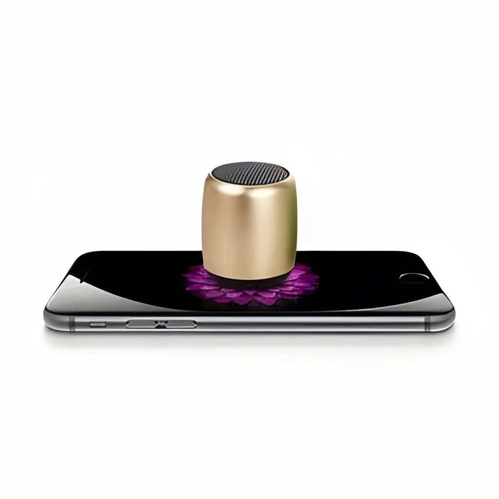 Portable outdoor mini Bluetooth speaker in black, blue, gold, or pink colour options