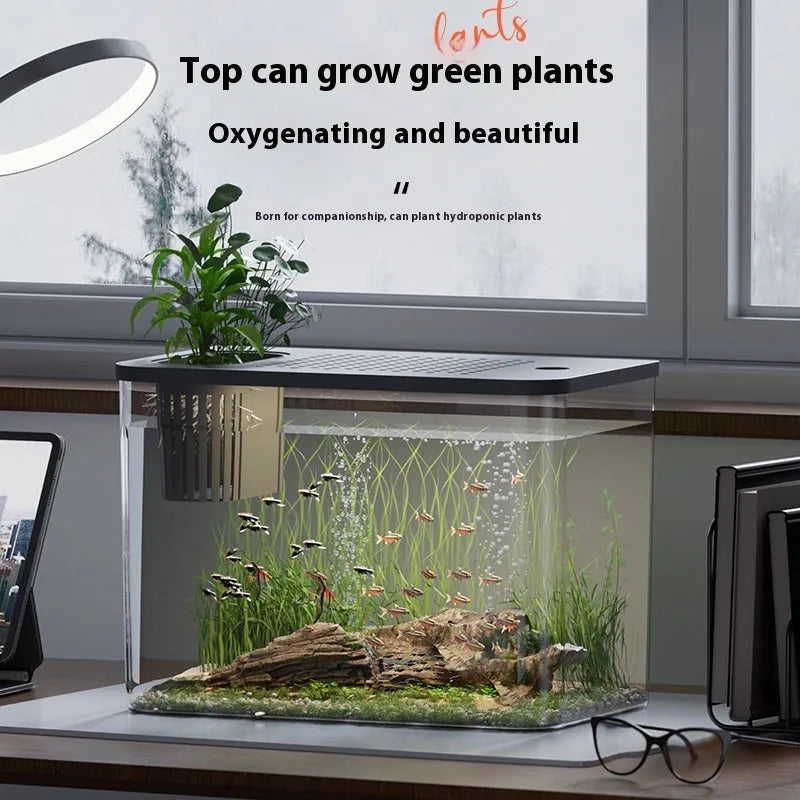Black plastic betta fish tank with cover measuring 32cm long for living room decor
