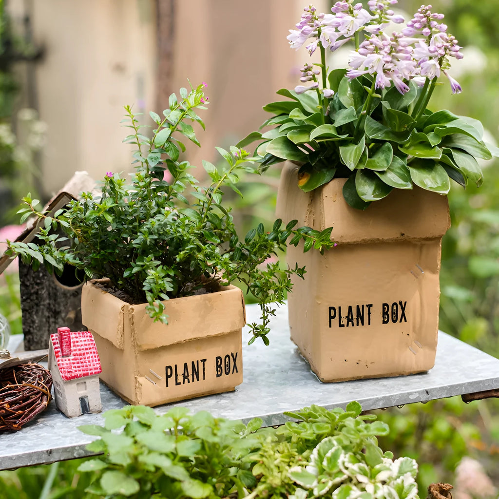 Cement flowerpot with pre-punched drainage hole in Nordic-style cement brown paper box design