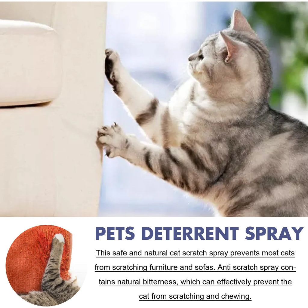 50ml pet training spray bottle in box for deterring scratching on furniture