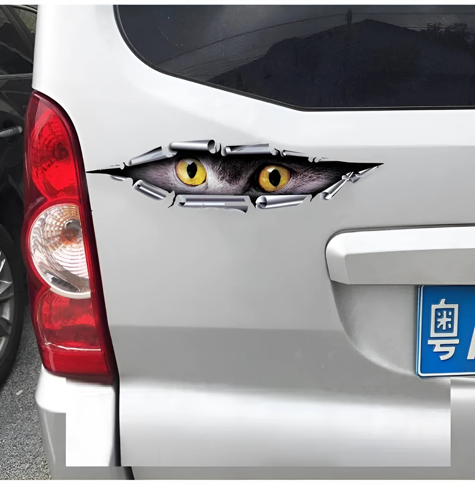 Tiger Eye or Eagle Eye pattern 3D car sticker for door and bumper decoration