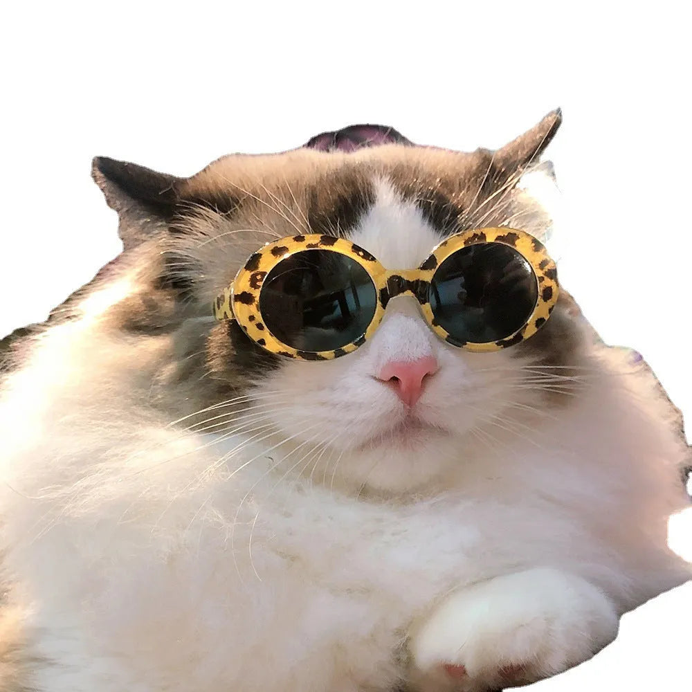Pet dog cat multi-color sunglasses with UV380 protection PC lens resin frame round style