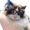 Pet dog cat multi-color sunglasses with UV380 protection PC lens resin frame round style