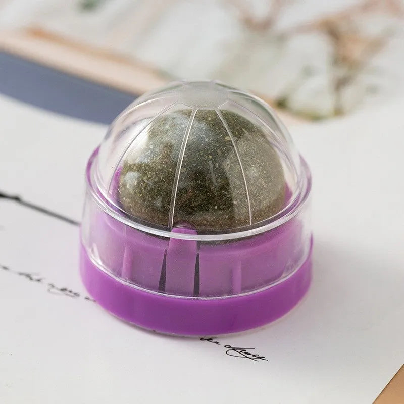 Plastic catnip ball toy in various colours for molar teeth cleaning and feline enrichment.