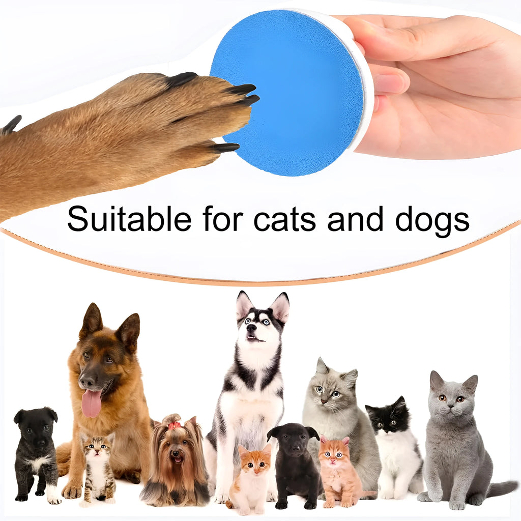 Round blue dog nail file board with an ergonomic handle on a table.