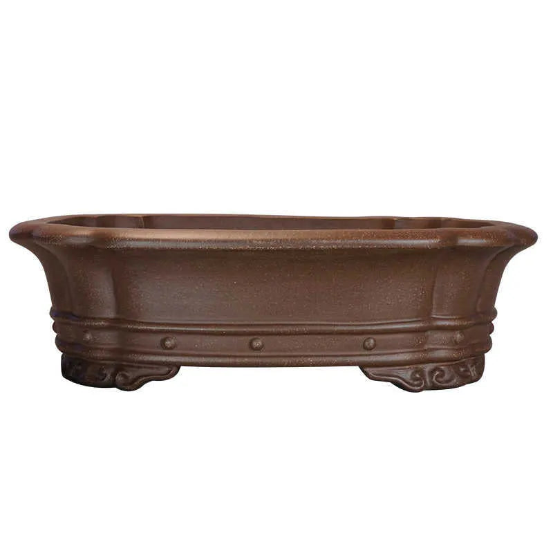 Purple clay rectangular begonia flower pot 51x41cm on desktop
