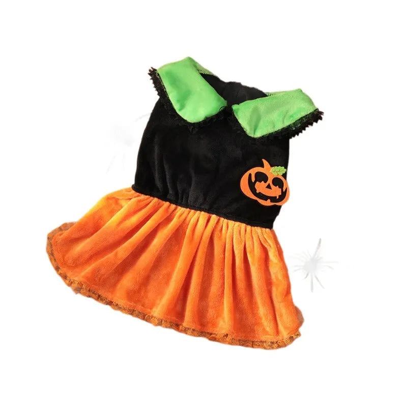Halloween pumpkin costume for small dog, crystal velvet skirt and sweater options shown.