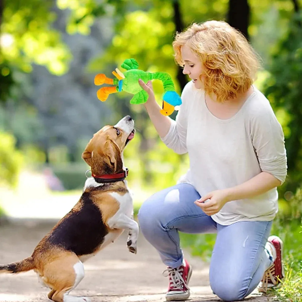 Bite-resistant screaming chicken sound squeaky dog toy in black, green, and orange.