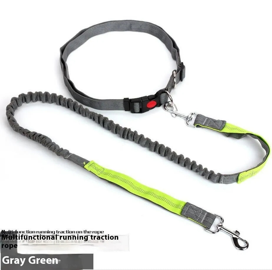 Reflective nylon dog leash with elastic sling in multiple colour options for outdoor running