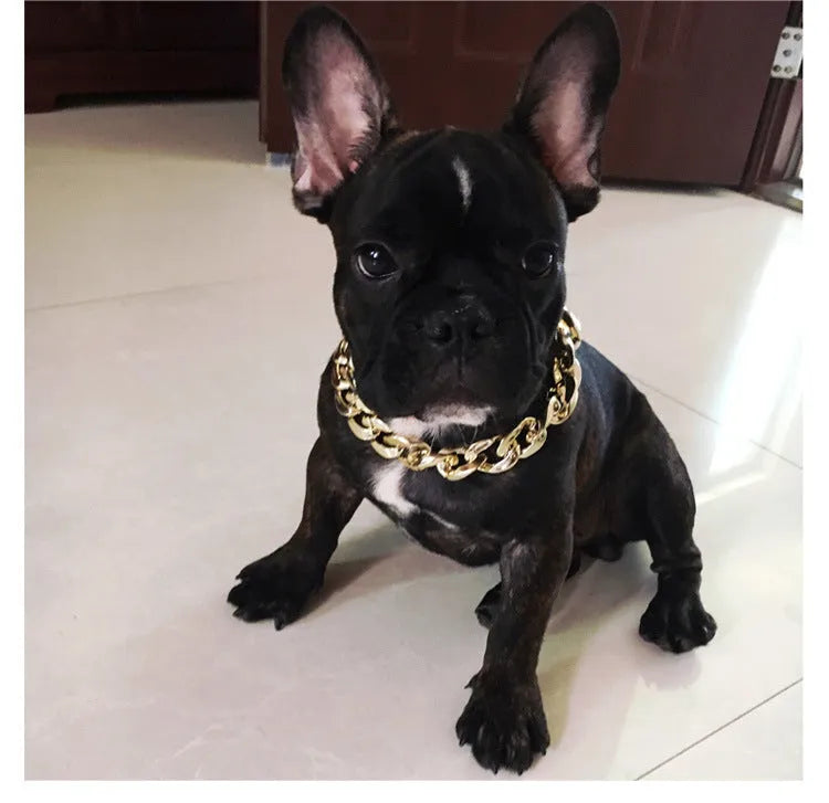 Gold chain dog collar with twisted piece chain design for small to medium dogs, adjustable from 21cm to 50cm