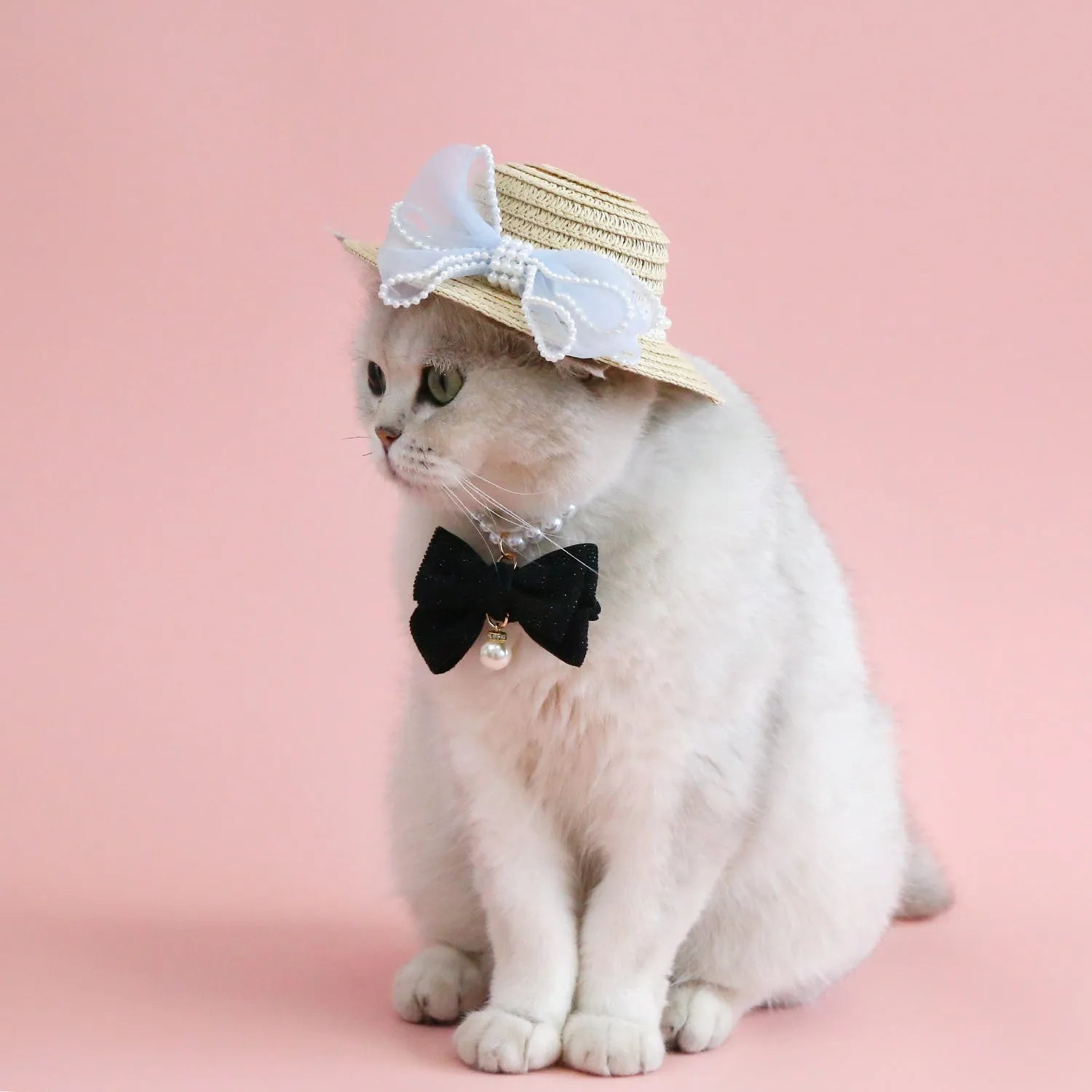 Cat wearing a woven straw hat with a pearl butterfly bow on its head.
