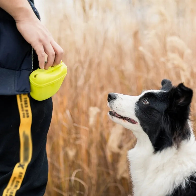A silicone dog training treat bag with a belt clip, shown in one of six colour options.