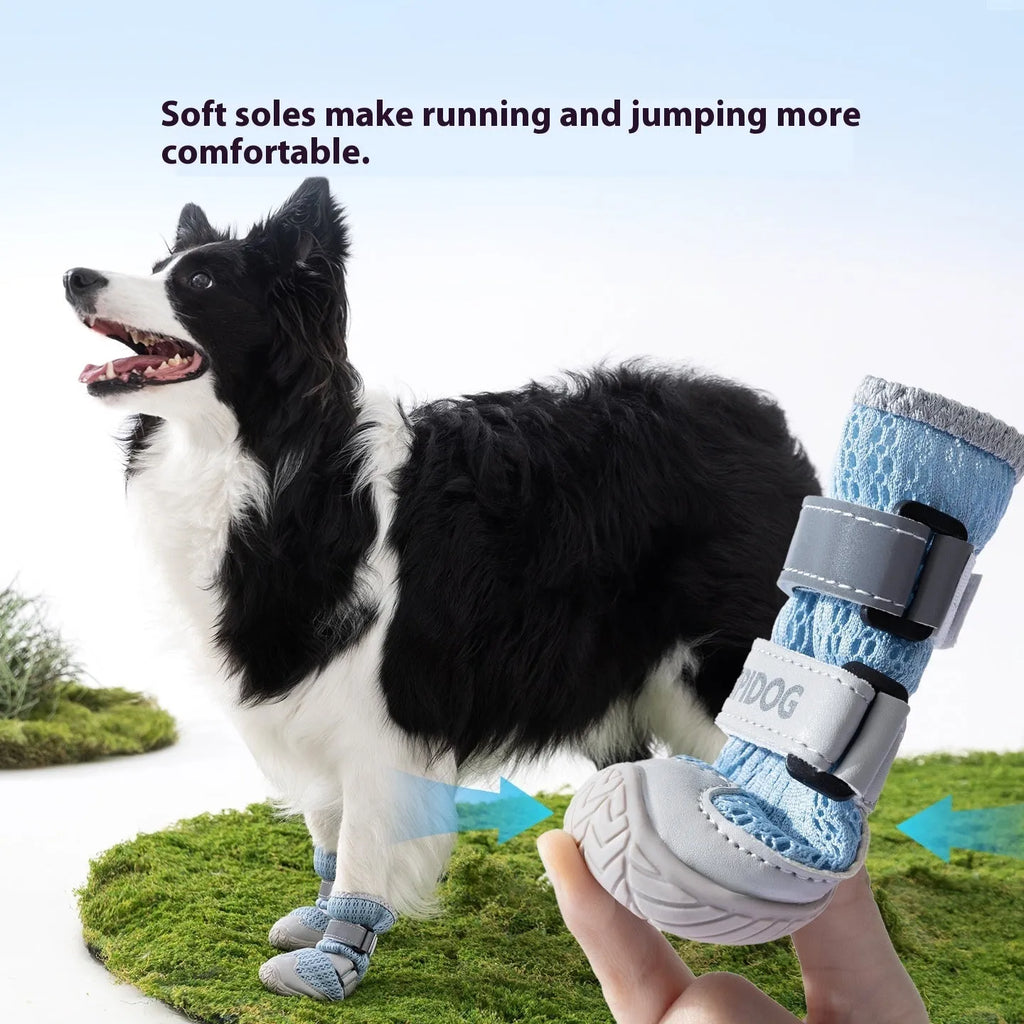 Cartoon style dog shoes in Bondi Blue and Dean Green colours for summer hot pavement protection