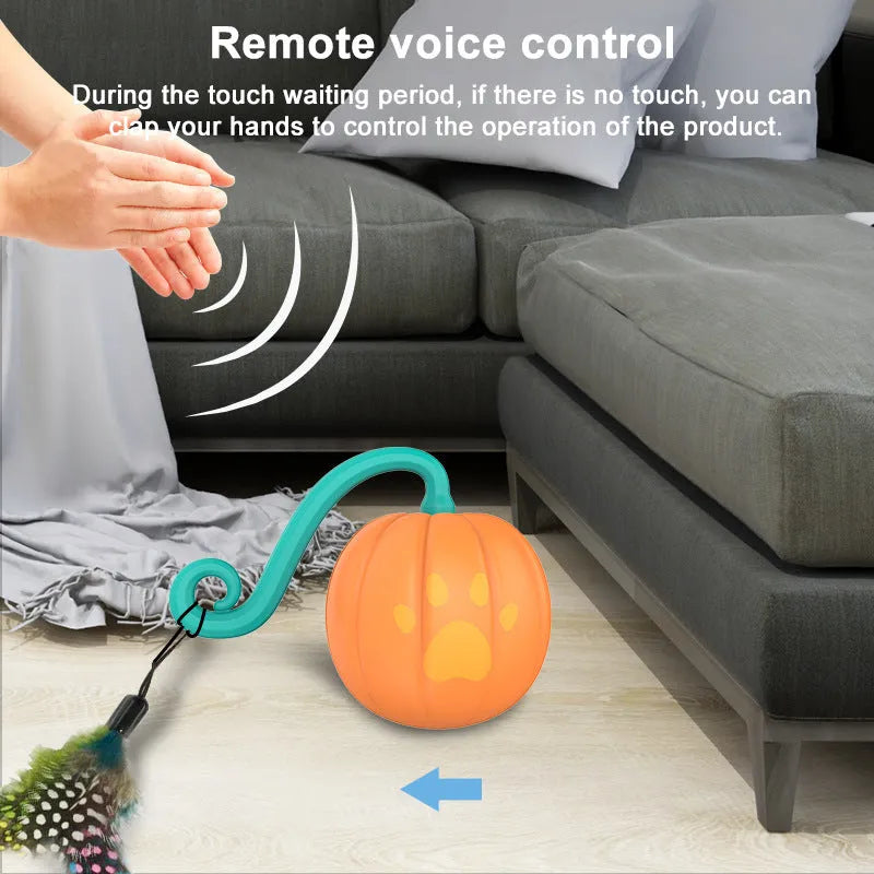 Electric cat toy with LED lights in watermelon and pumpkin designs showing automatic movement feature