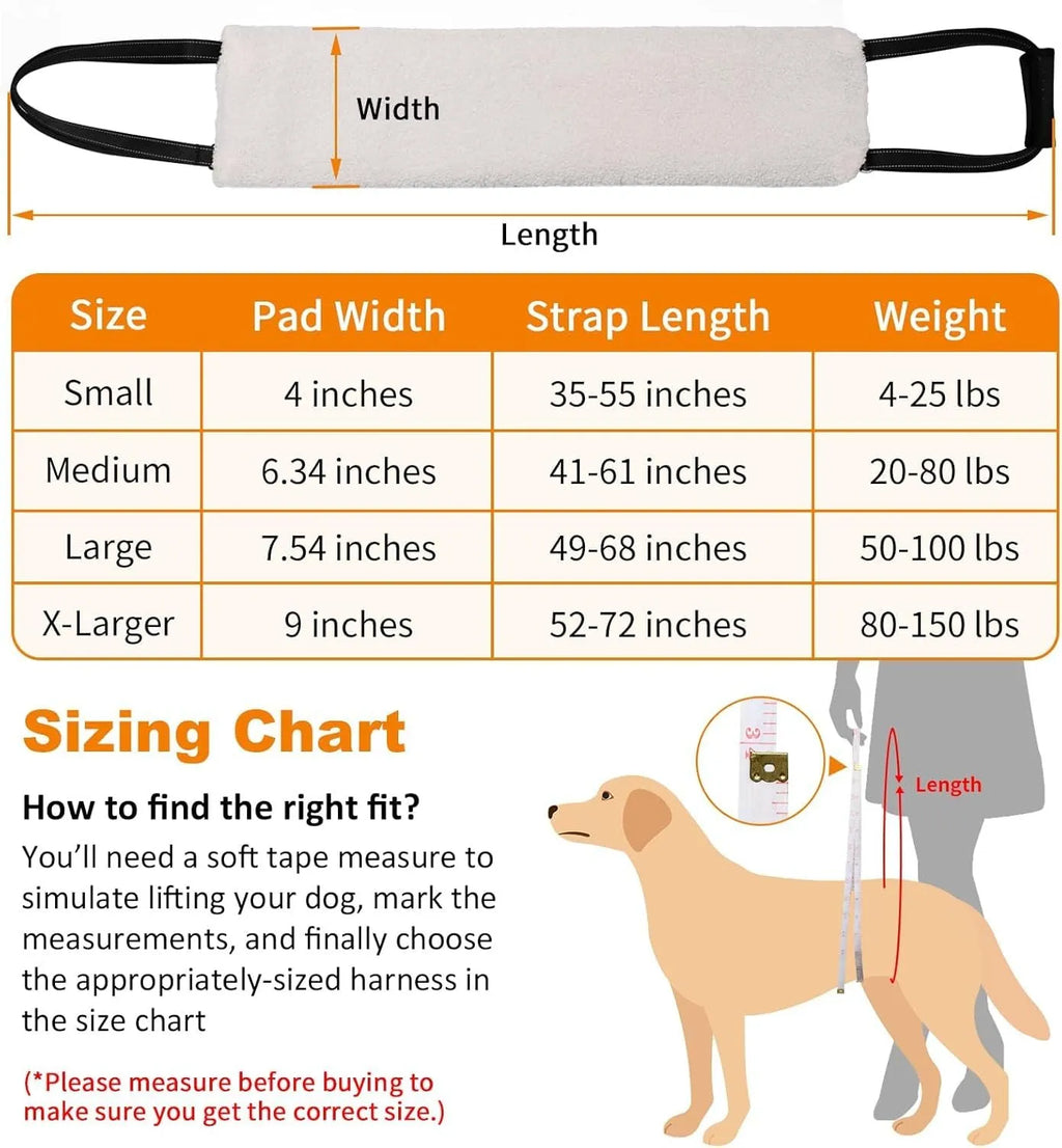 Adjustable dog mobility sling supporting a dog's hindquarters with reflective nylon straps.