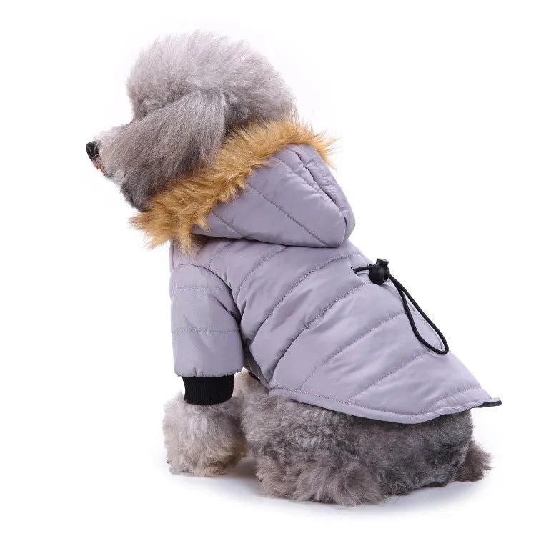 Winter pet dog coat polyester cotton lining available in green grey and red sizes S M L XL